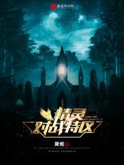 精灵对战网页游戏
