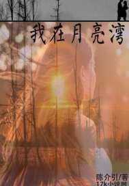 我去了月亮湾的作文