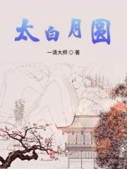 什么叫太白入月