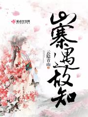 山寨货的意思