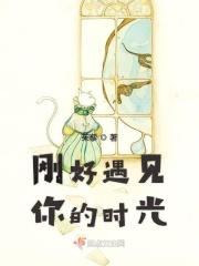 刚好遇见你的时光是什么歌