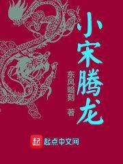 腾龙小书