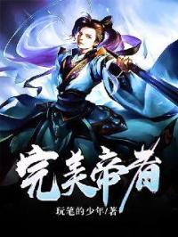 完美帝师