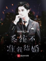 系统不准我撩汉全文