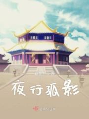 夜行孤单视频