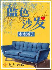 沙发蓝色好吗