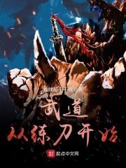 武道从练刀开始在线阅读