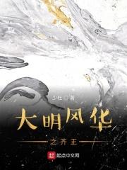 大明风华在哪里看