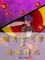 精灵宝可梦之全球降临 夏公子有闲