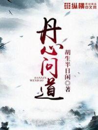 丹心是什么意思啊