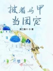 披着马甲找哥哥综