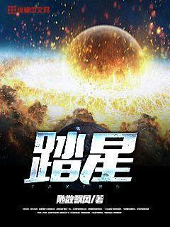 踏星木先生的身份
