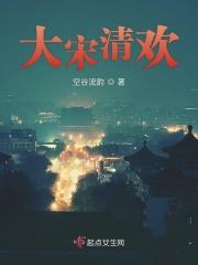大宋清欢作者