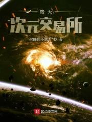 诸天次元掌控者免费阅读