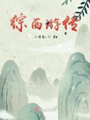 综穿影视西游记
