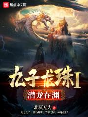 九龙珠后续
