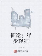 少年在征途