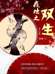 双生夜的二重奏
