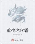 重生之官道全文 免费