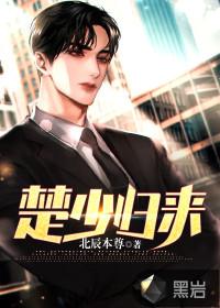 男主叫楚少阳的
