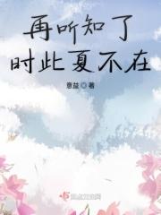 倾城之夏的含义