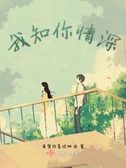 你知我情深一