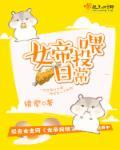 女帝iv