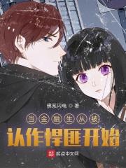 当金融摧毁了国家 书籍