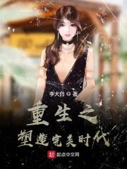 重生之完美时代吧