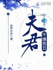 夫君不嫌我丑免费阅读