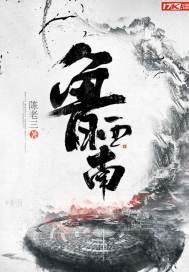 鲁西南地图