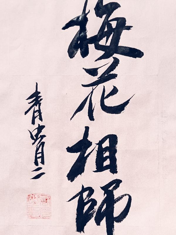 梅花相位谁虐谁