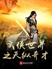武侠之纵横无敌一健天王
