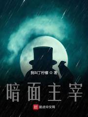 木偶师免费阅读
