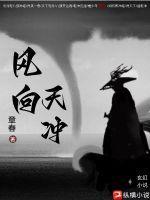 风向deg