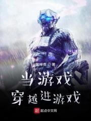 当游戏穿越进游戏 起点