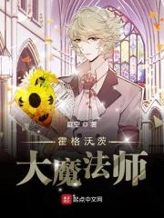 霍格沃兹的魔术大师