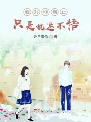歌词是我对你何止是执迷不悟