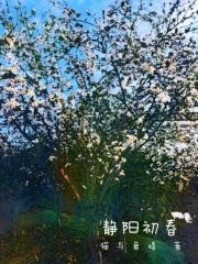 静初什么意思