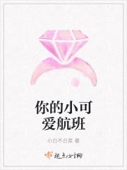 你的小可爱 歌词