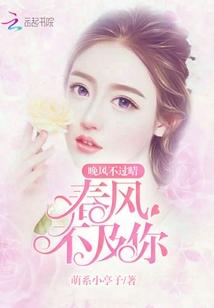 晚风不如你情深免费阅读
