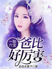 陶宝司冥寒结尾