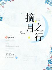 摘月番外