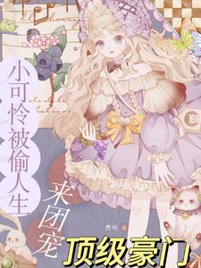 黎小鸭盛玉霄电视剧免费观看
