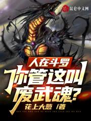 人在斗罗之我的武魂是三幻神