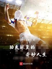 一代球皇之大帝传奇百度百科