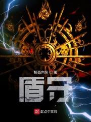 圣盾12