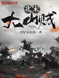 北宋四大贼寇最强