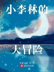 小李琳个人