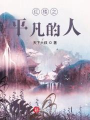 红楼之平妻